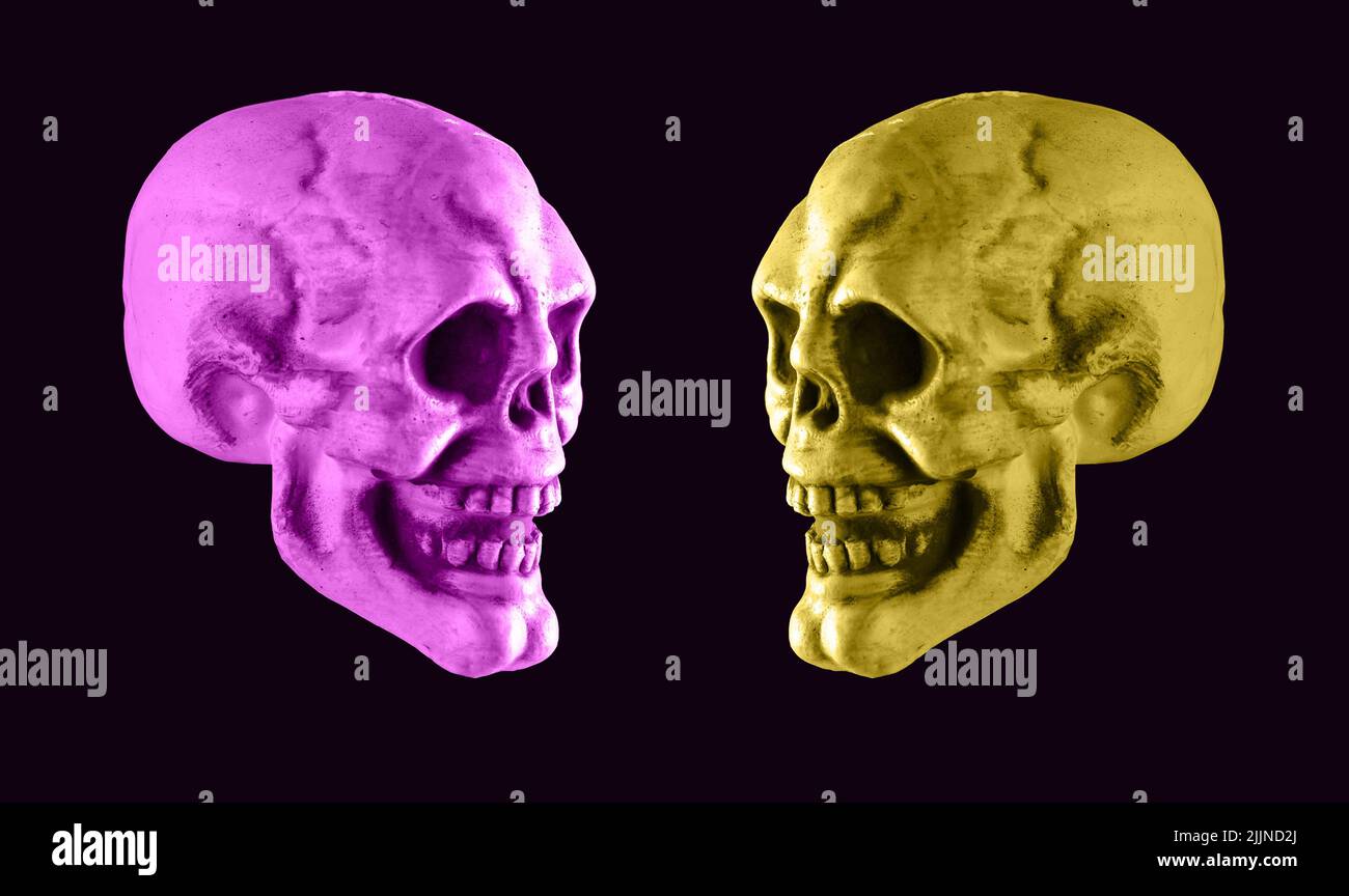 Violet and yellow skulls on black background. Halloween holiday or human duality concept. Good and evil in person. Opposites. High quality photo Stock Photo