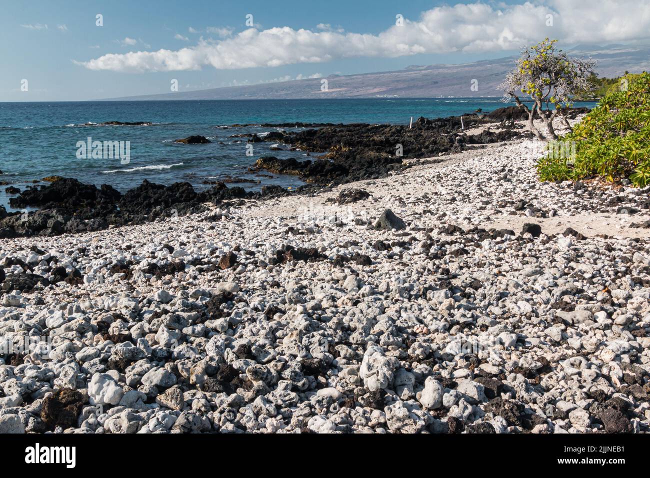 Black rocks on beach hi-res stock photography and images - Alamy