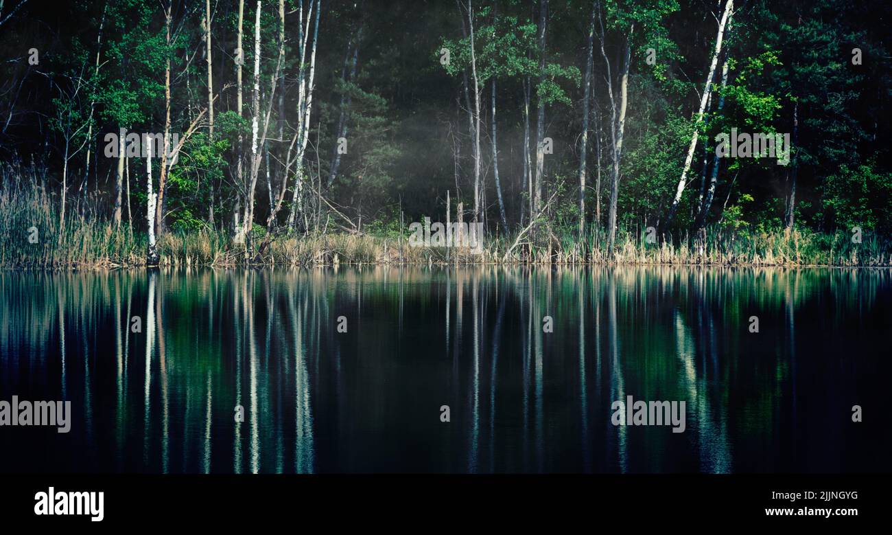 Magical: lonely forest lake Stock Photo