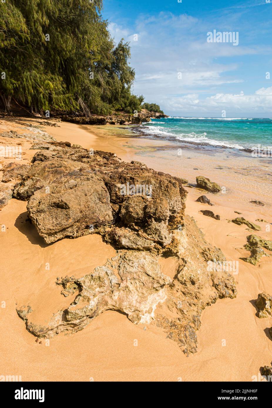 Exposed Coral Reef on Kawailoa Bay Beach, Mahaulepu Beaches, Poipu, Kauai, Hawaii, USA Stock Photo