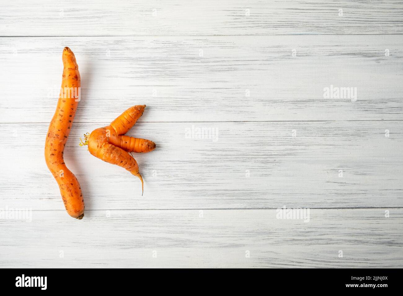 Top view close-up of two ripe orange ugly carrots lie on a light wooden surface with copy space for text. Selective focus. Stock Photo