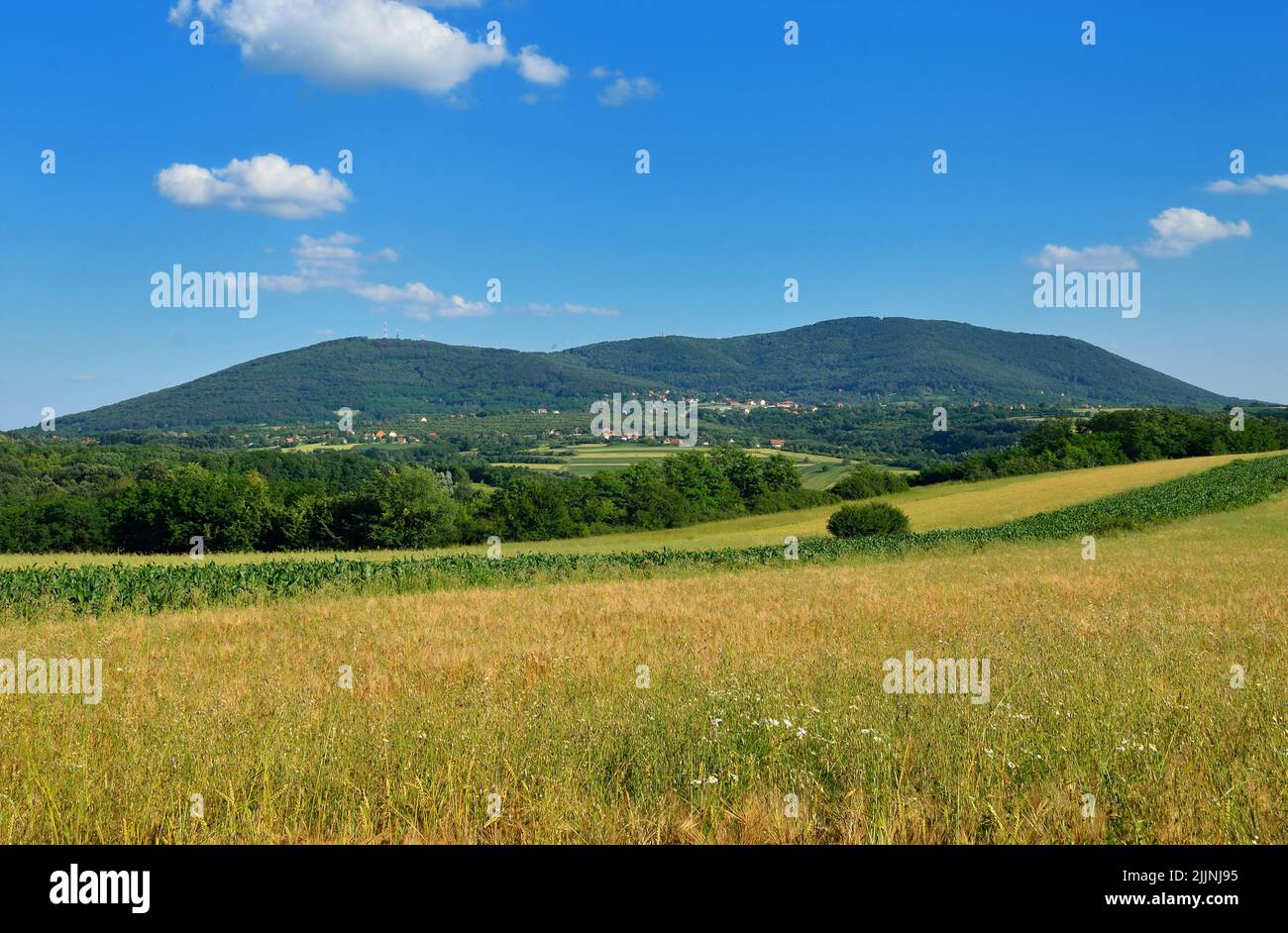 Rural environment grass field hi-res stock photography and images - Alamy
