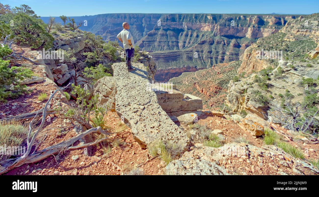 Man standing on a slab of rock looking at view east of Shoshone Point, Grand Canyon National Park, Arizona, USA Stock Photo