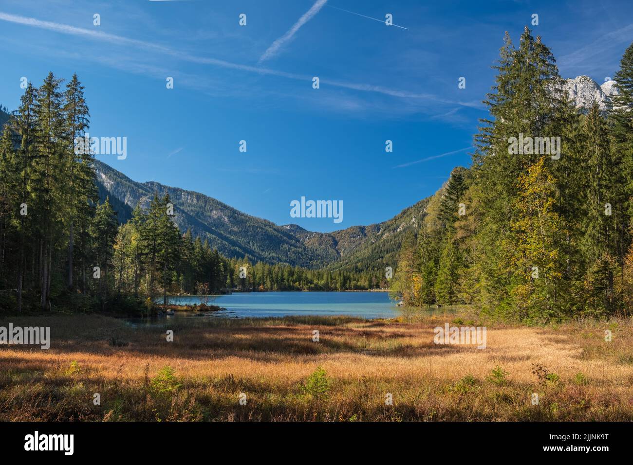 Beautiful lake landscape trees hi-res stock photography and images - Alamy