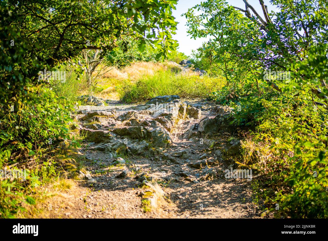Popular wild park Divoka Sarka in Prague city in sunset time in summer ...