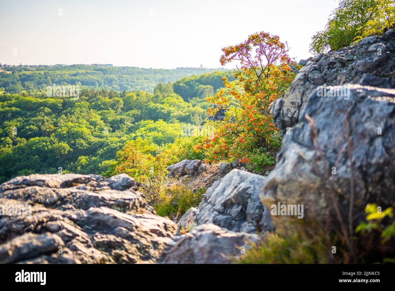 Popular wild park Divoka Sarka in Prague city in sunset time in summer ...