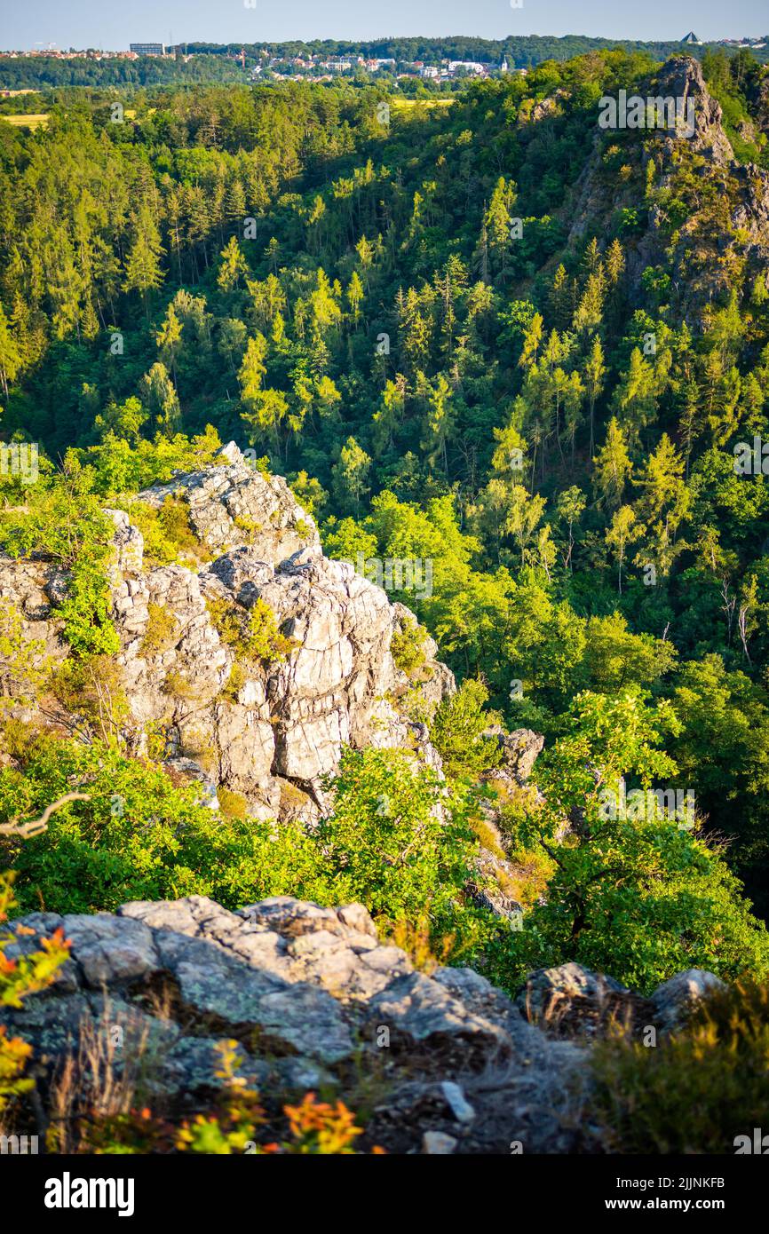 Popular wild park Divoka Sarka in Prague city in sunset time in summer ...
