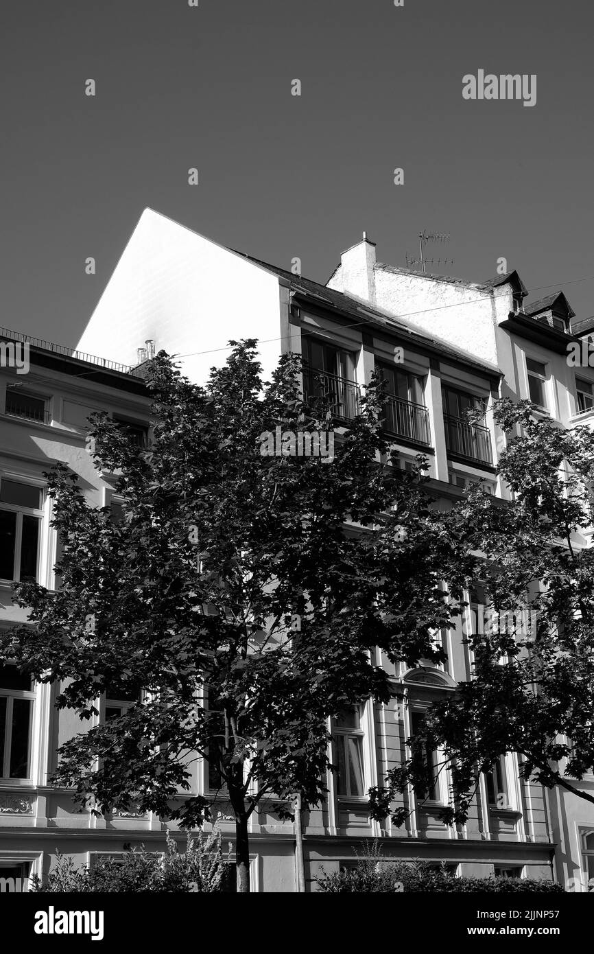 A grayscale of trees in front of a residential buildings Stock Photo