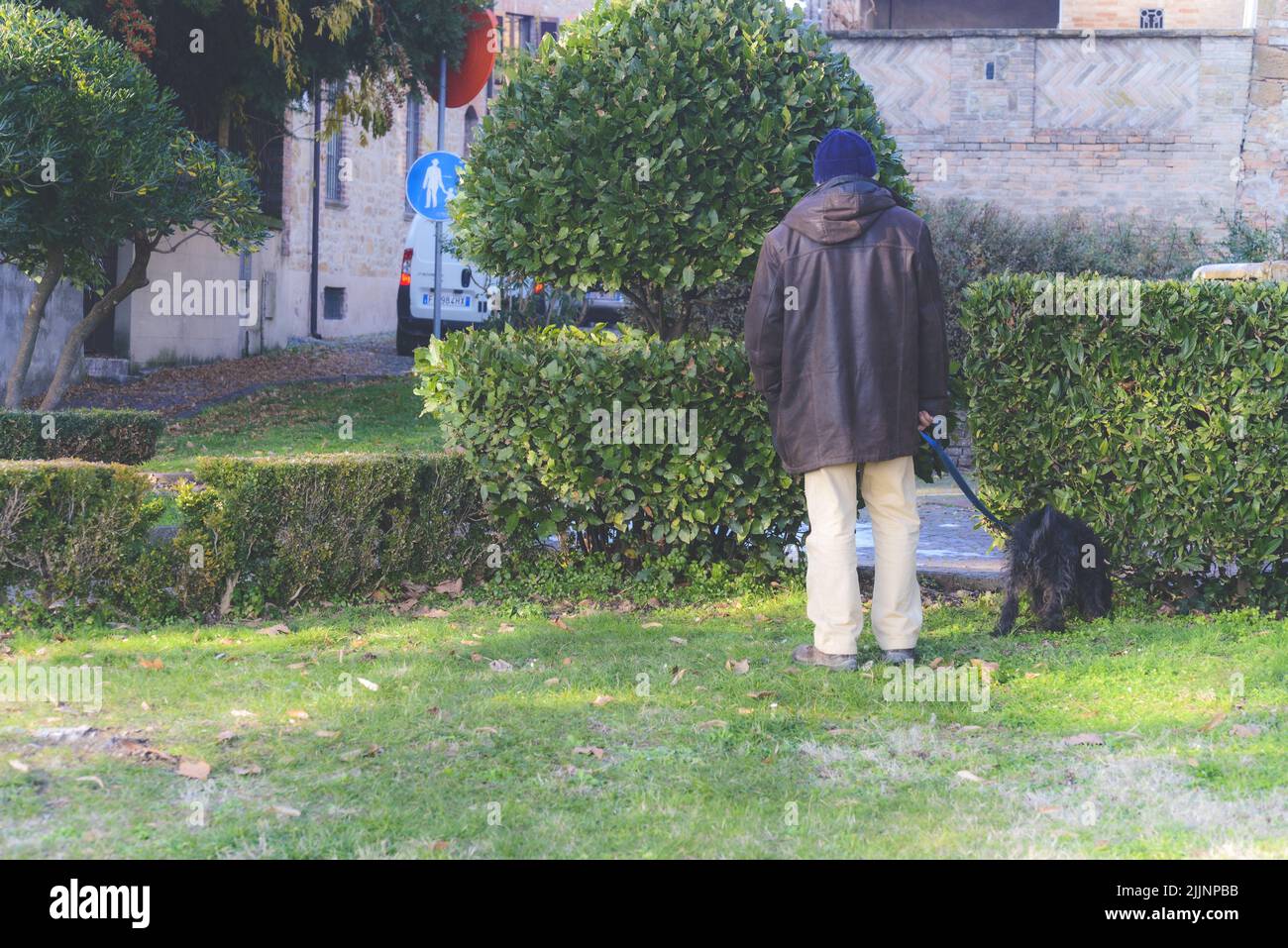 A back view of a senior Caucasian man having a walk in the garden with his Black Terrier dog Stock Photo