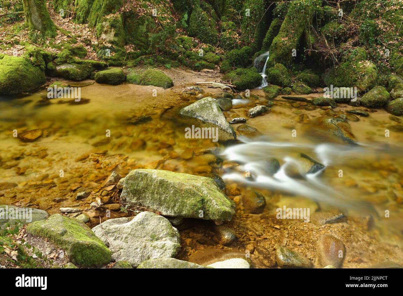 A beautiful small stream with an orange color flows through the Black Forest, Germany. Hiking at touristic nature and landscape routes and paths. Stock Photo