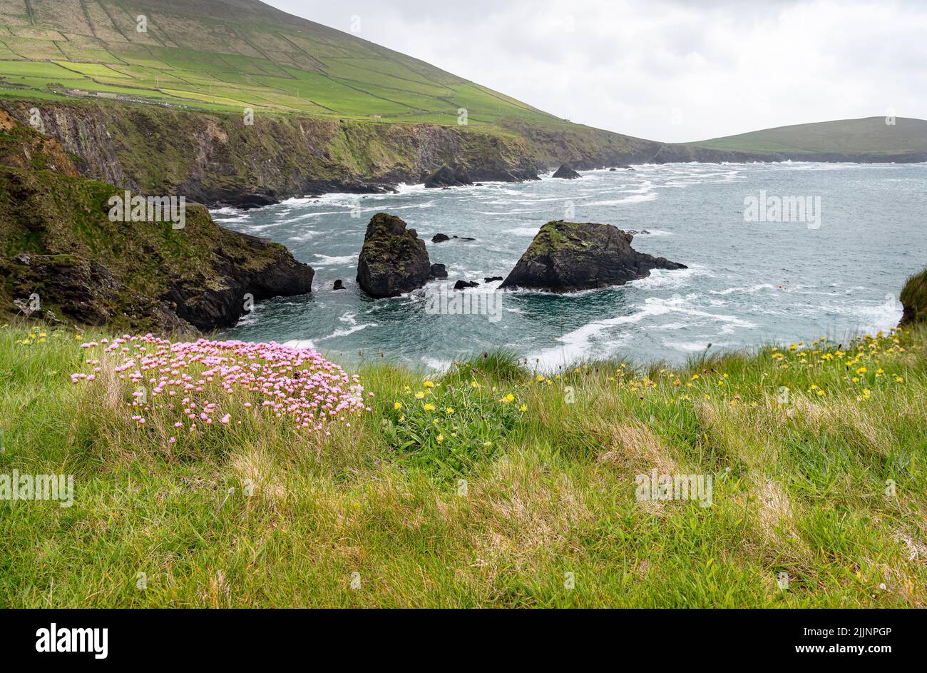 The Coastline Cliffs from Coumeenoole Beach on the south coast of Dunmore Head on the Dingle Peninsular in County Kerry, Ireland Stock Photo