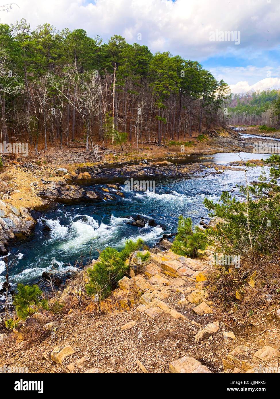 A vertical shot of a flowing river in the forest under a cloudy sky ...