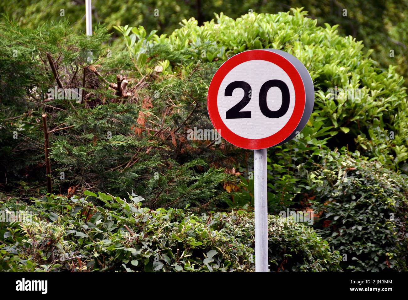 Road sign showing a 20 mph speed limit at the approach to a residential area Stock Photo Alamy