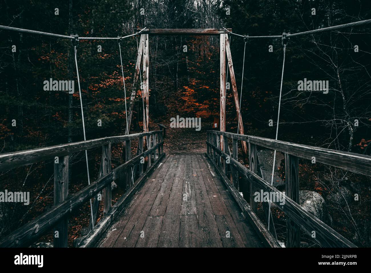 A wooden bridge in the Lincoln woods, New Hampshire, State Park ...