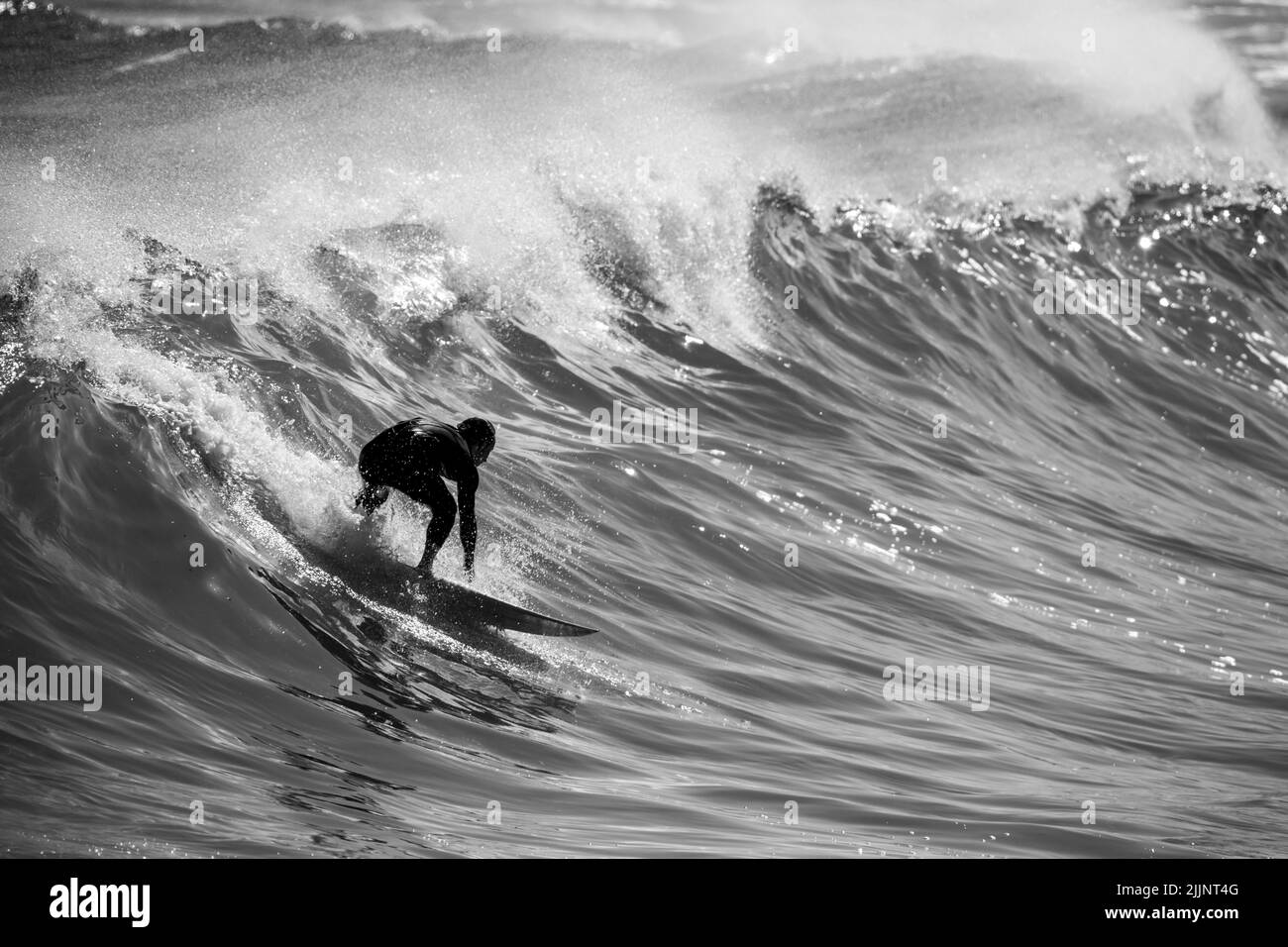 A gray scale of a surfer surfing on a big wave in ocean Stock Photo Alamy