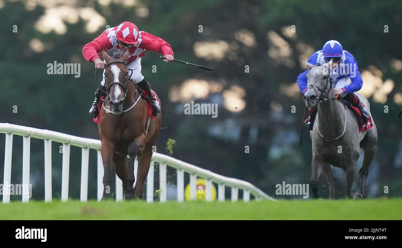 Scenic Look ridden by Seamus Heffernan wins The Claim Your Welcome Offer @Tote.ie Handicap during day three of the Galway Races Summer Festival 2022 at Galway Racecourse in County Galway, Ireland. Picture date: Wednesday July 27, 2022. Stock Photo