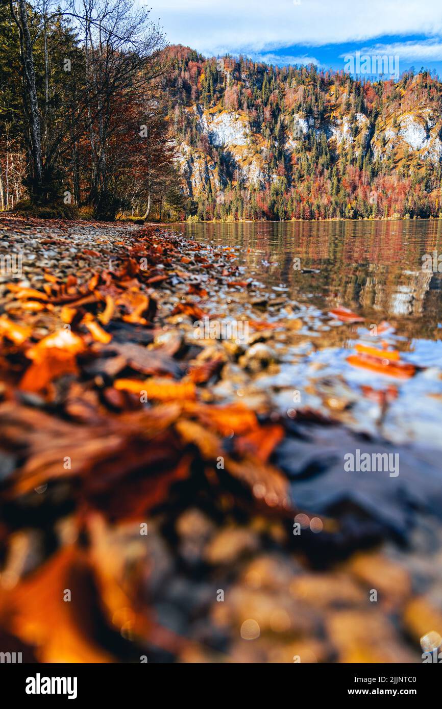 Vertical shot tranquil lake hi-res stock photography and images - Alamy