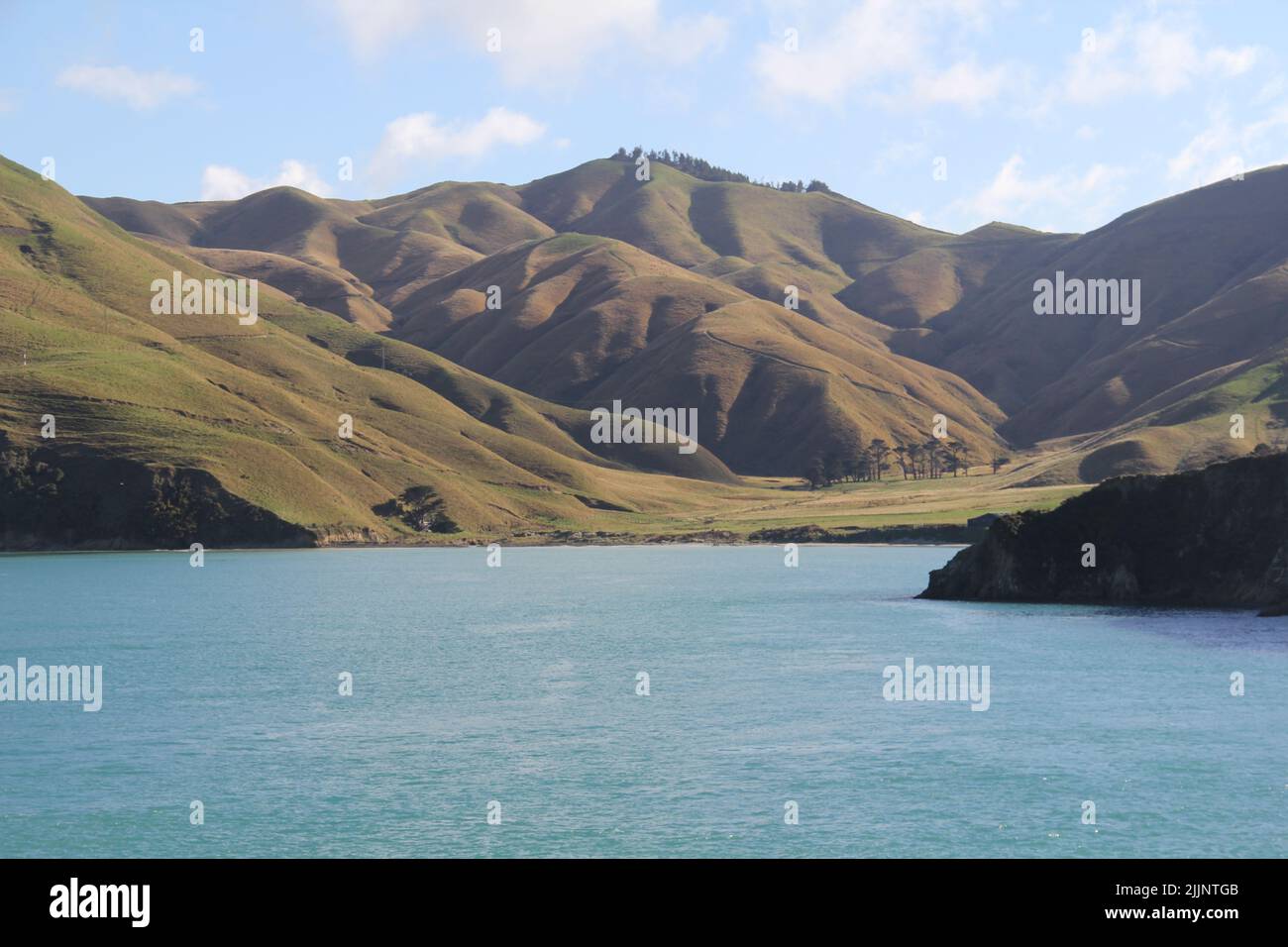 A deforested area on a bay in New Zealand Stock Photo