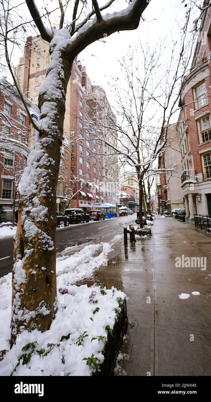 A vertical shot of buildings with parked cars on the street in USA ...