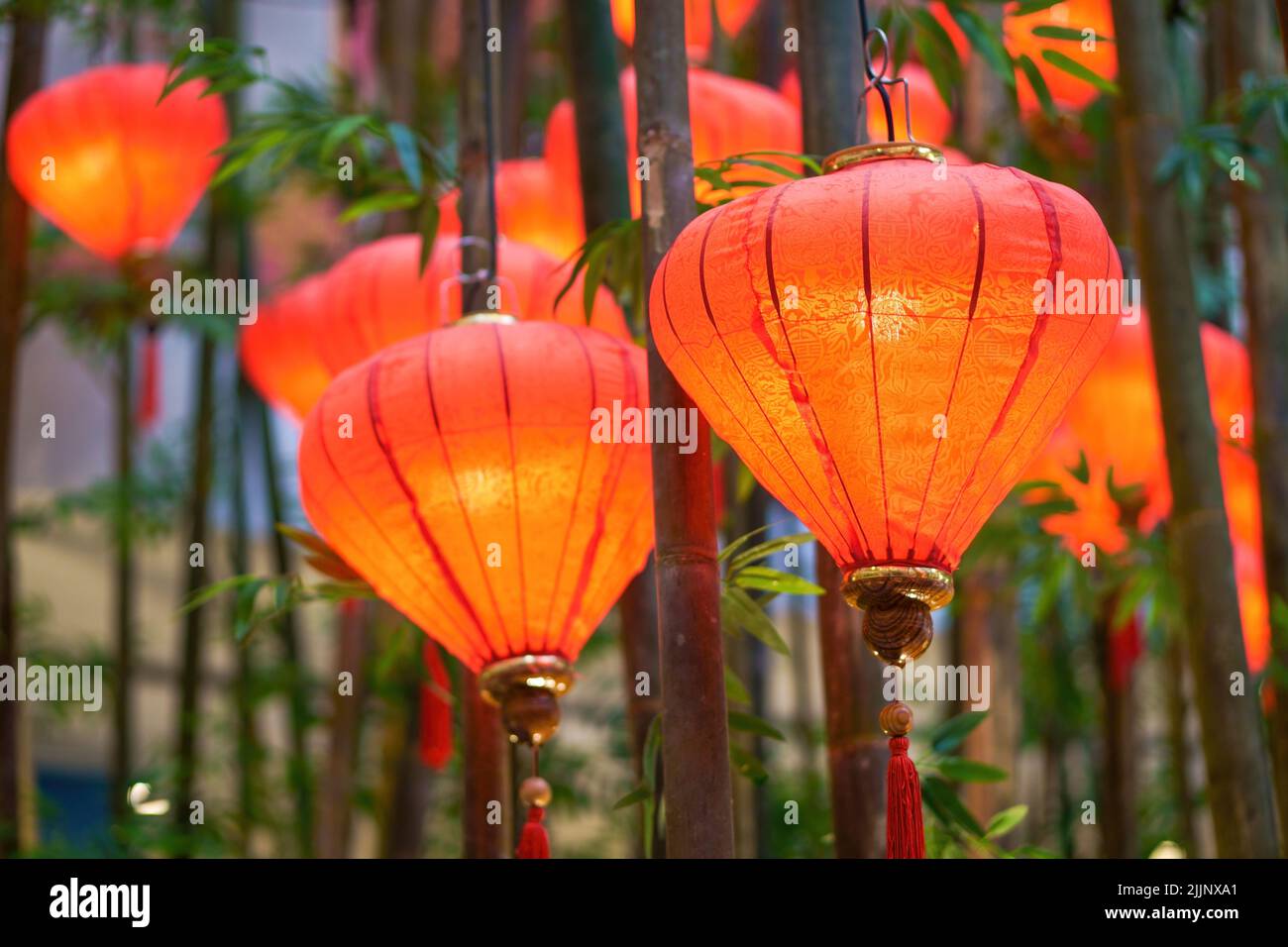 A close-up shot of Chinese red lanterns hanging on the bamboo plants. Stock Photo