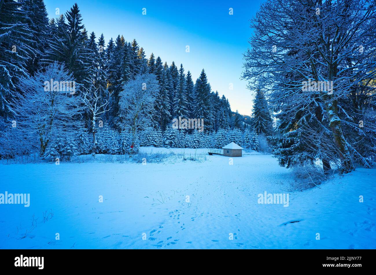 A beautiful shot of snowy scenery in the Goldistal reservoir in the Thuringian Forest, Germany Stock Photo