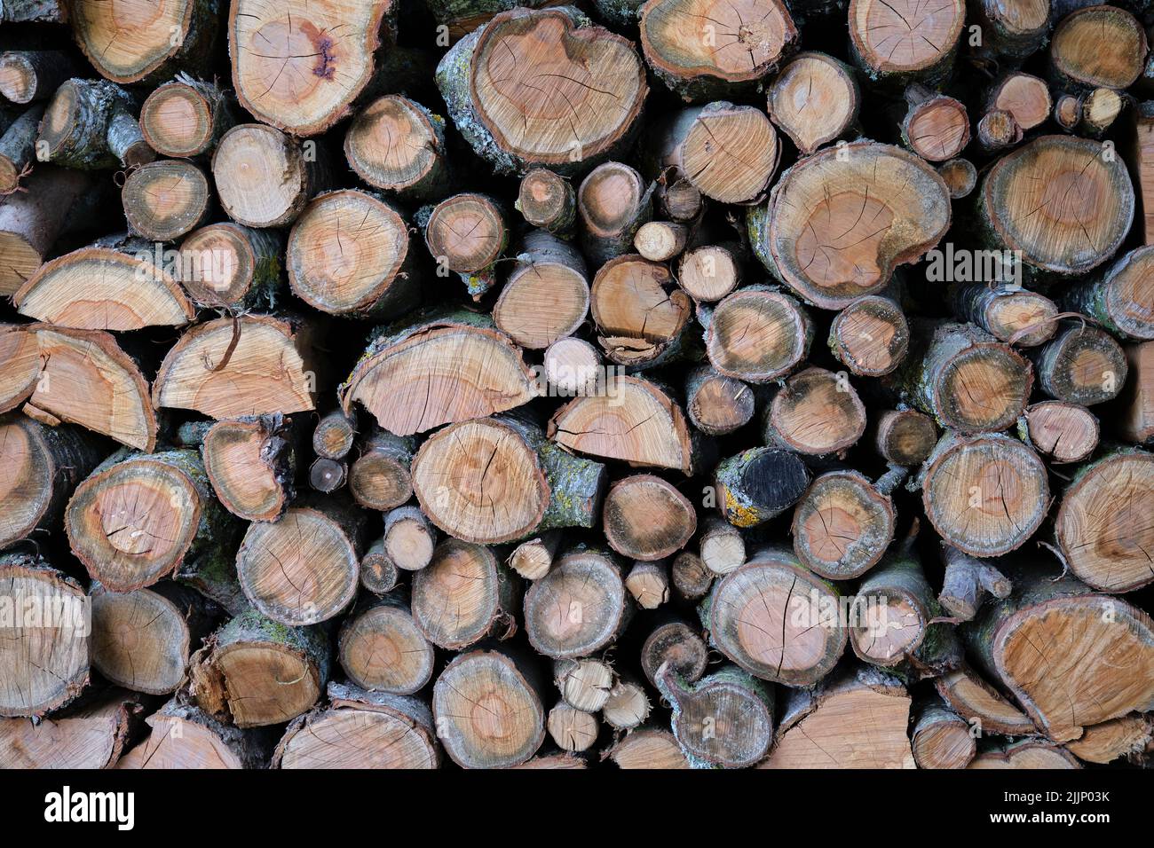 Full frame background of dry firewood stacked together and forming wall in yard Stock Photo