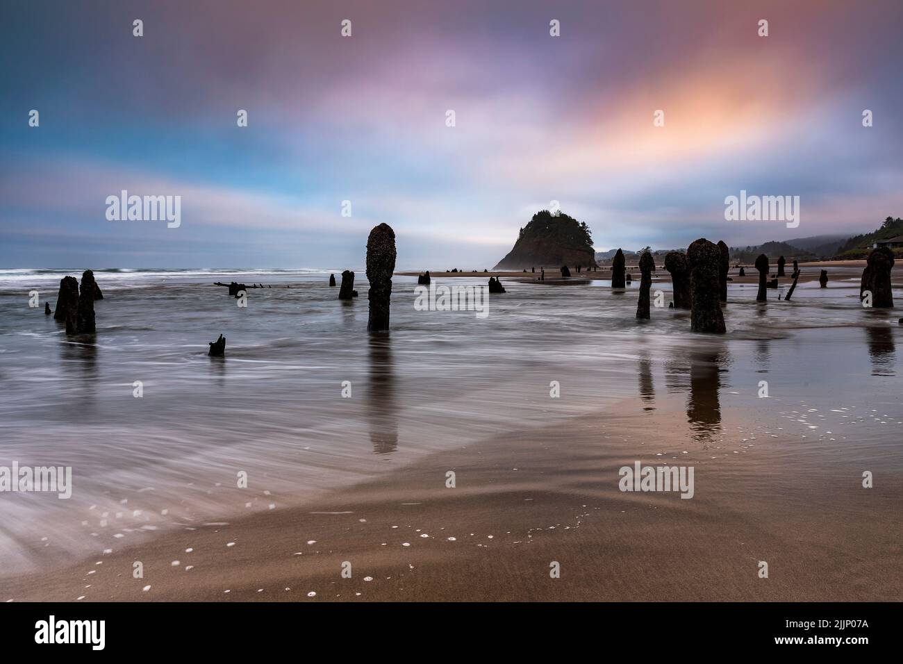 A beautiful shot the Neskowin Ghost forest village shore in Oregon Stock Photo