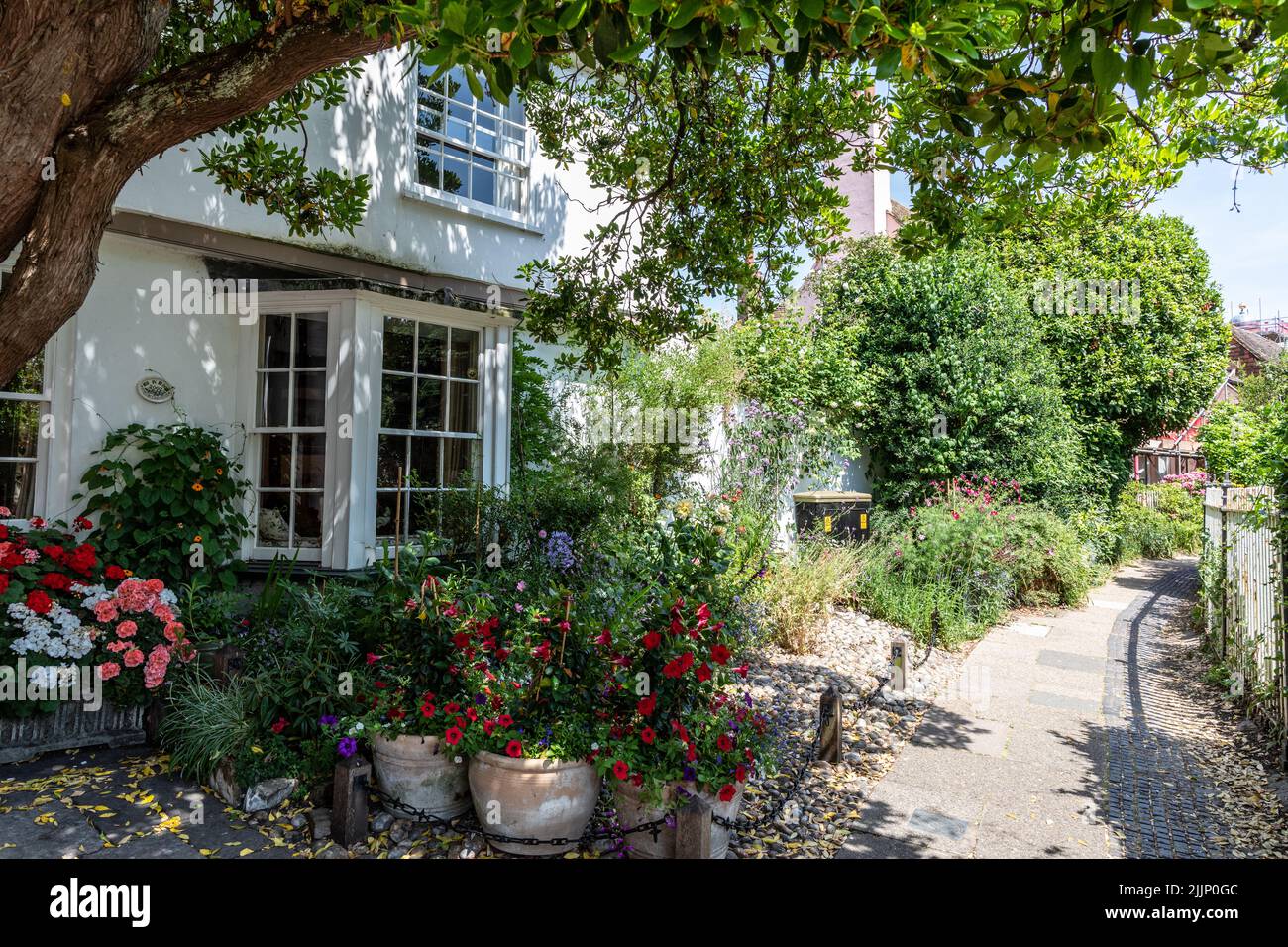 A Traditional Flower Garden in Rye East Sussex Stock Photo