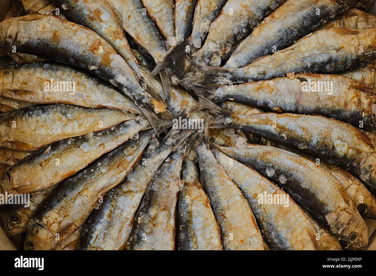 Top view of delicious herring fish stacked in circle in barrel with