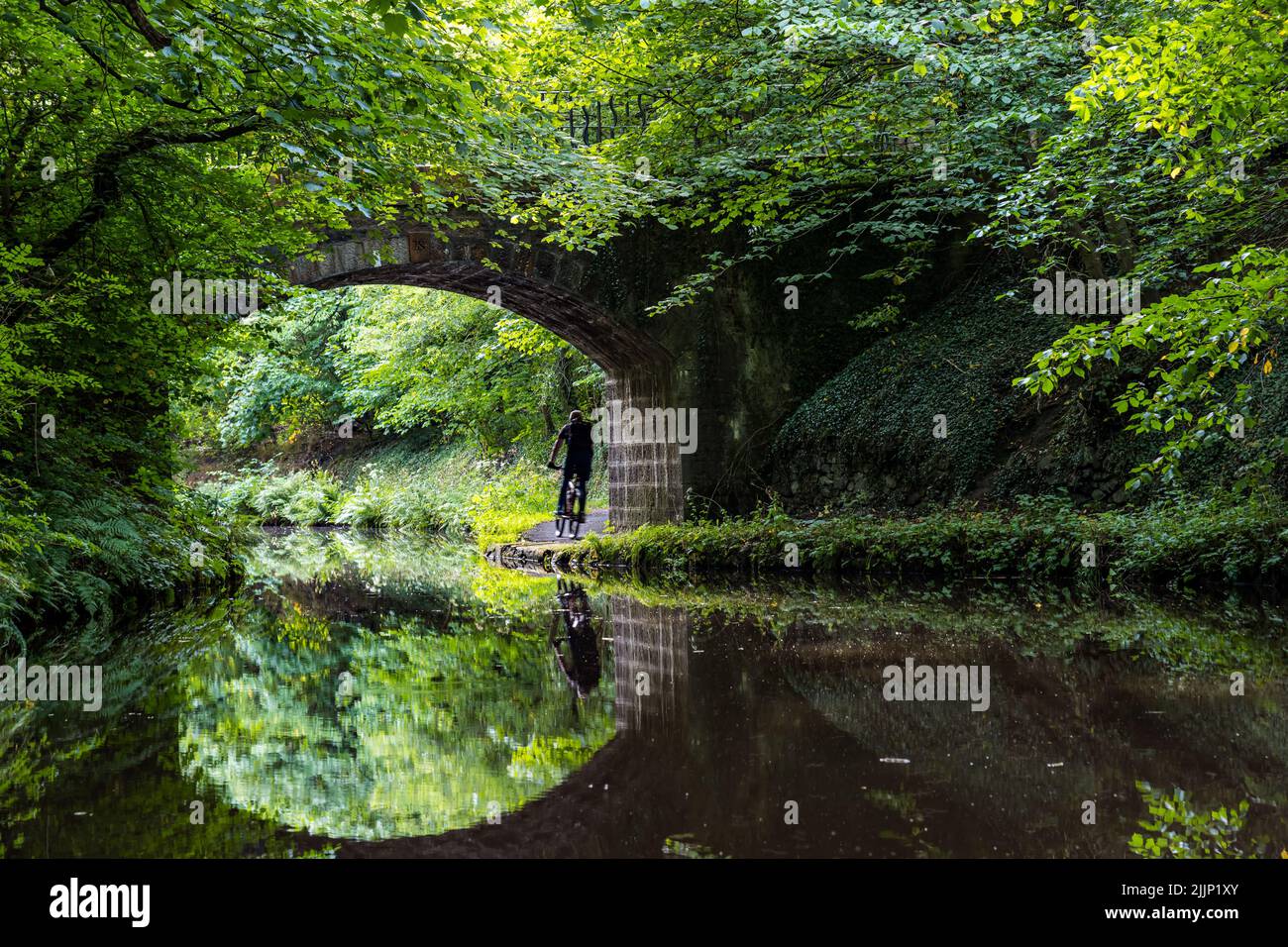 Ratho, Scotland, United Kingdom, 27th July 2022. UK Weather: sunny evening on the Union Canal. A cyclist cycling along the canal towpath Stock Photo