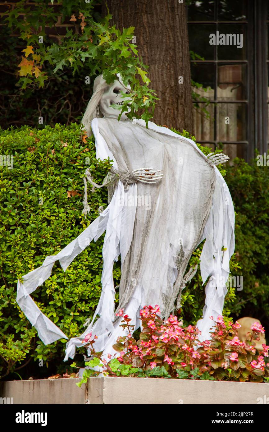 Pregnant ghost-zombie outside Halloween decoration in front of a house and a hedge with flowers at bottom Stock Photo