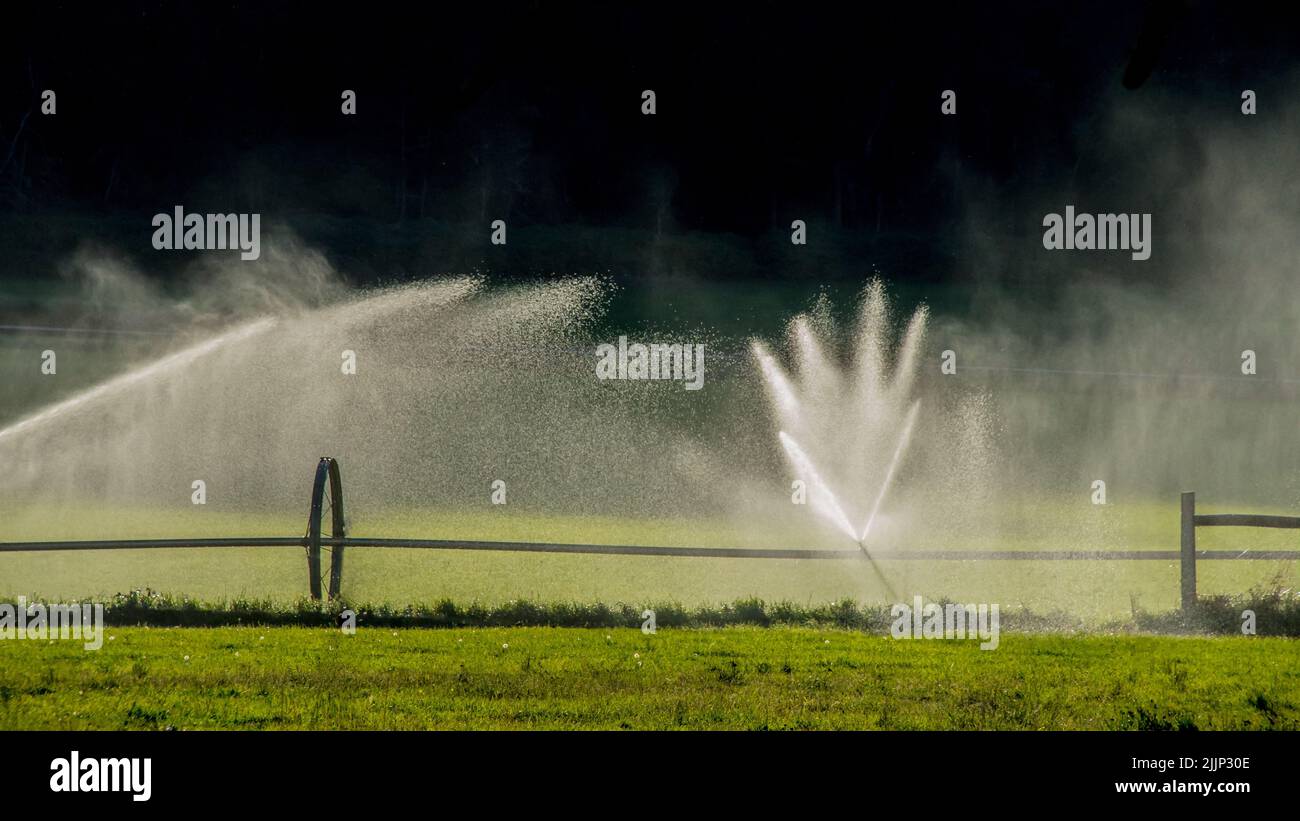 The automatic irrigation systems watering the grass in the field Stock Photo