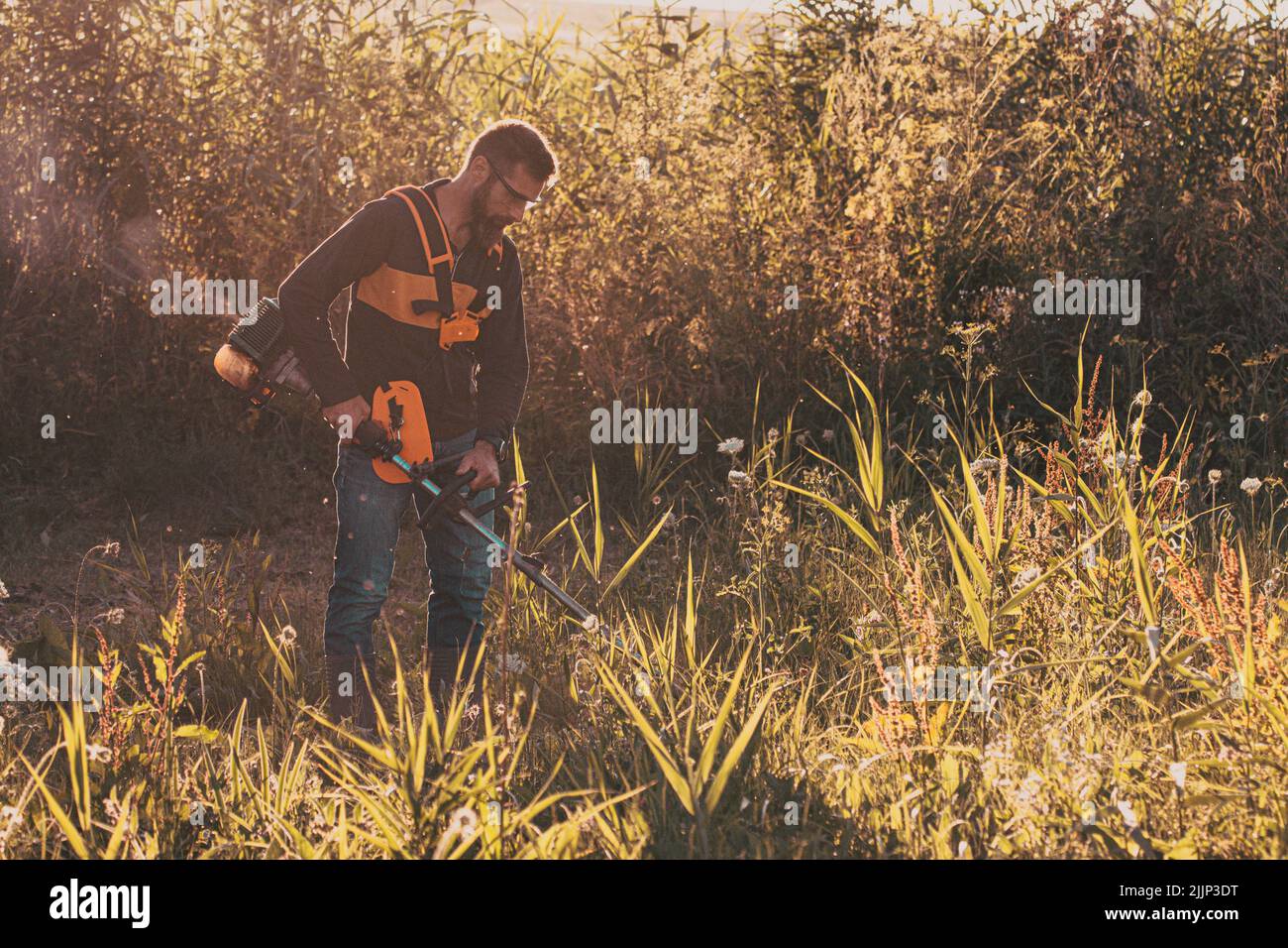 man trimming weed with weed trimmer in summer Stock Photo - Alamy