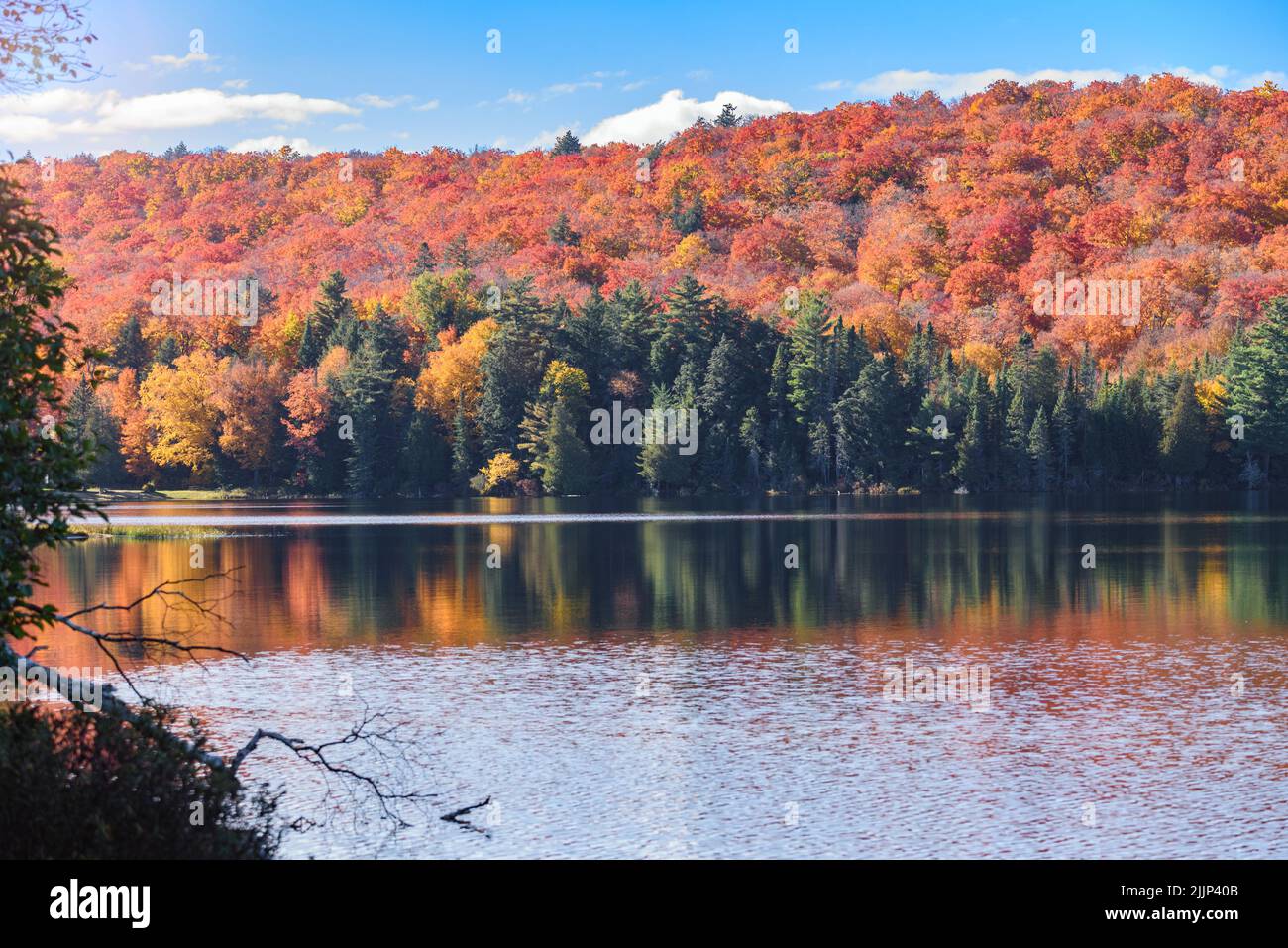 Desense forest at the peak of fall foliage reflecting in calm waters of a lake on a sunny day Stock Photo