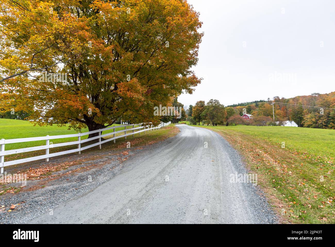 White wooden fence along a deserted  unmade road running through the countryside of Vermont on a cloudy autumn day Stock Photo