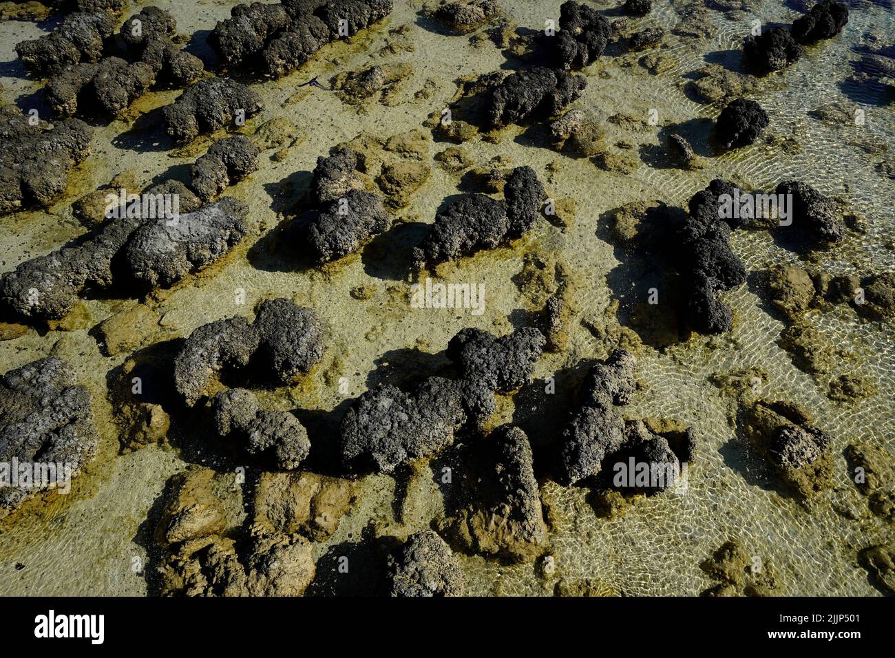Rocks in water pattern hi-res stock photography and images - Alamy