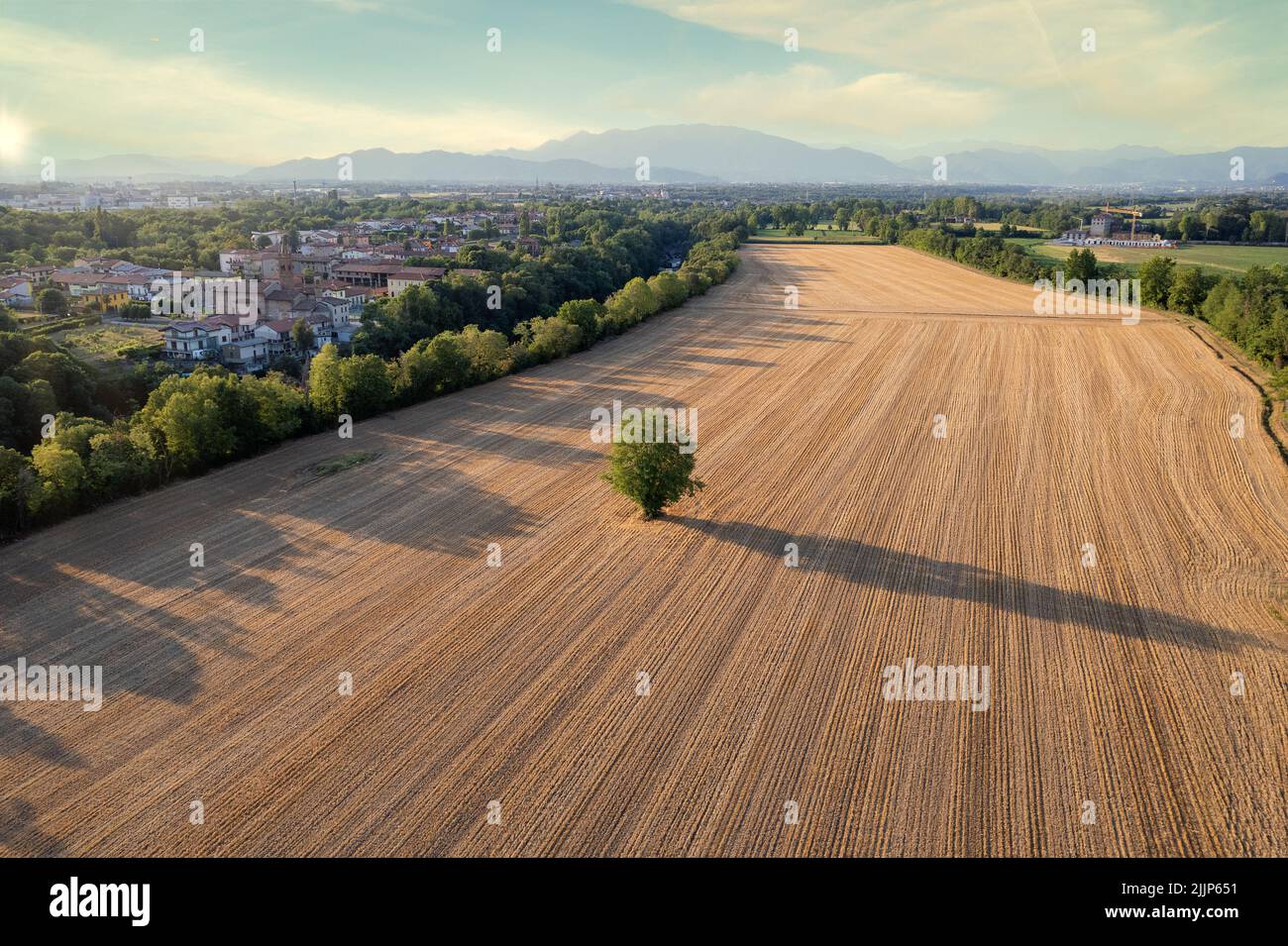 Tree Begrao Tree aerial view hi-res stock photography and images - Alamy
