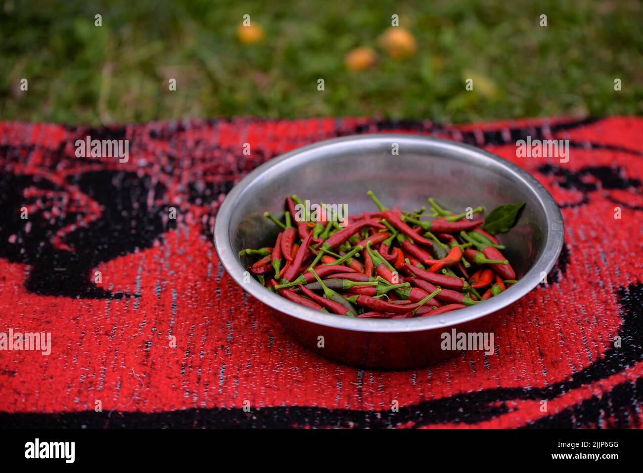 closeup photo of chili peppers in a tare Stock Photo Alamy