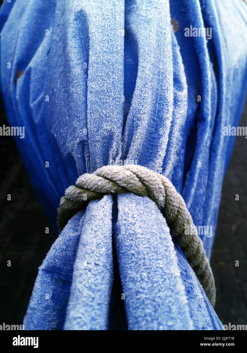Bind of blue hires stock photography and images Alamy