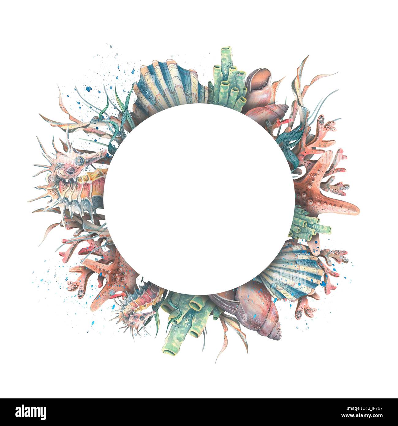 Round frame with seashells, seahorse, starfish and corals. Watercolor ...