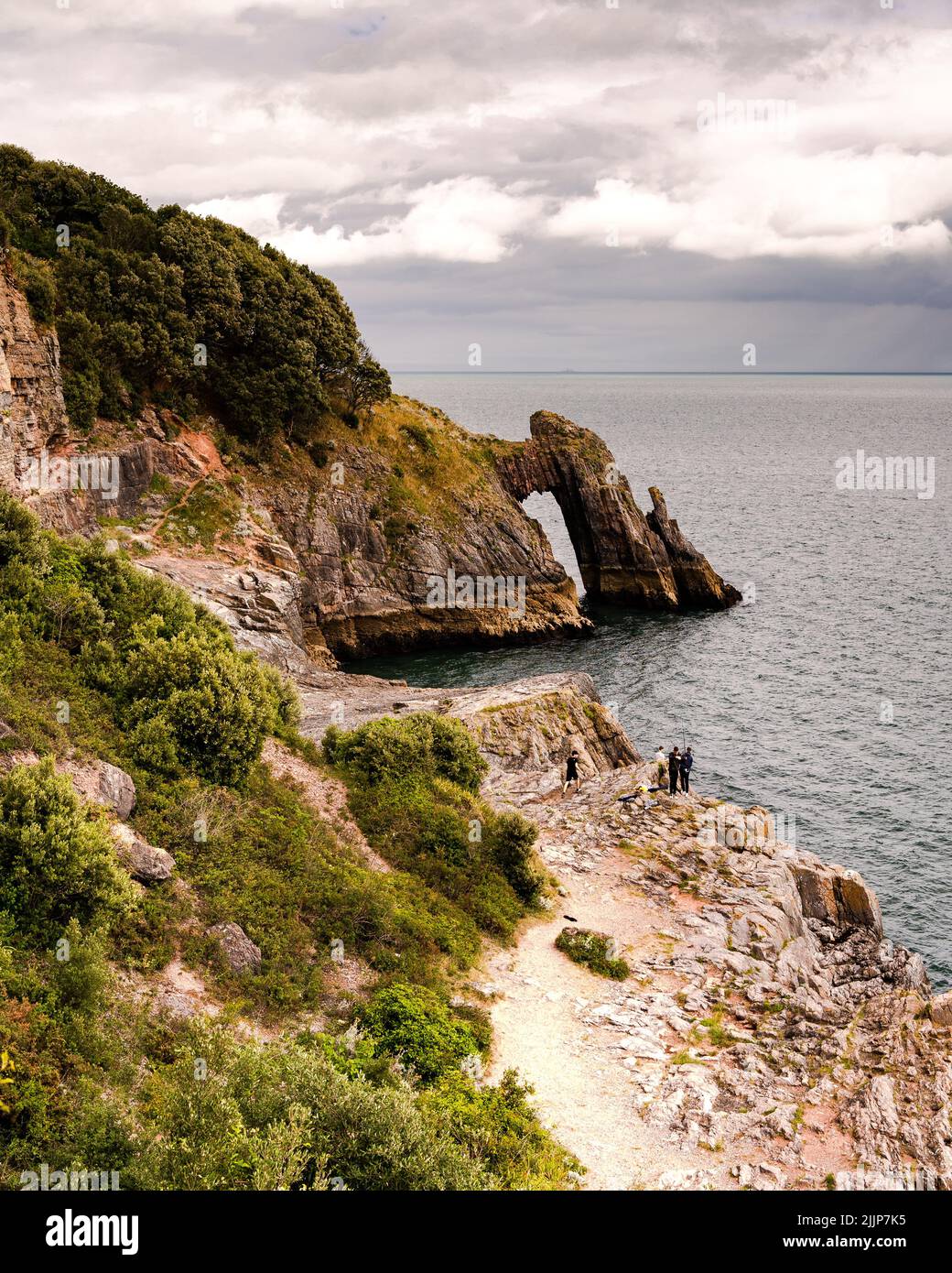 A beautiful view of rocky beach surrounded by trees and bushes in Torquay Stock Photo