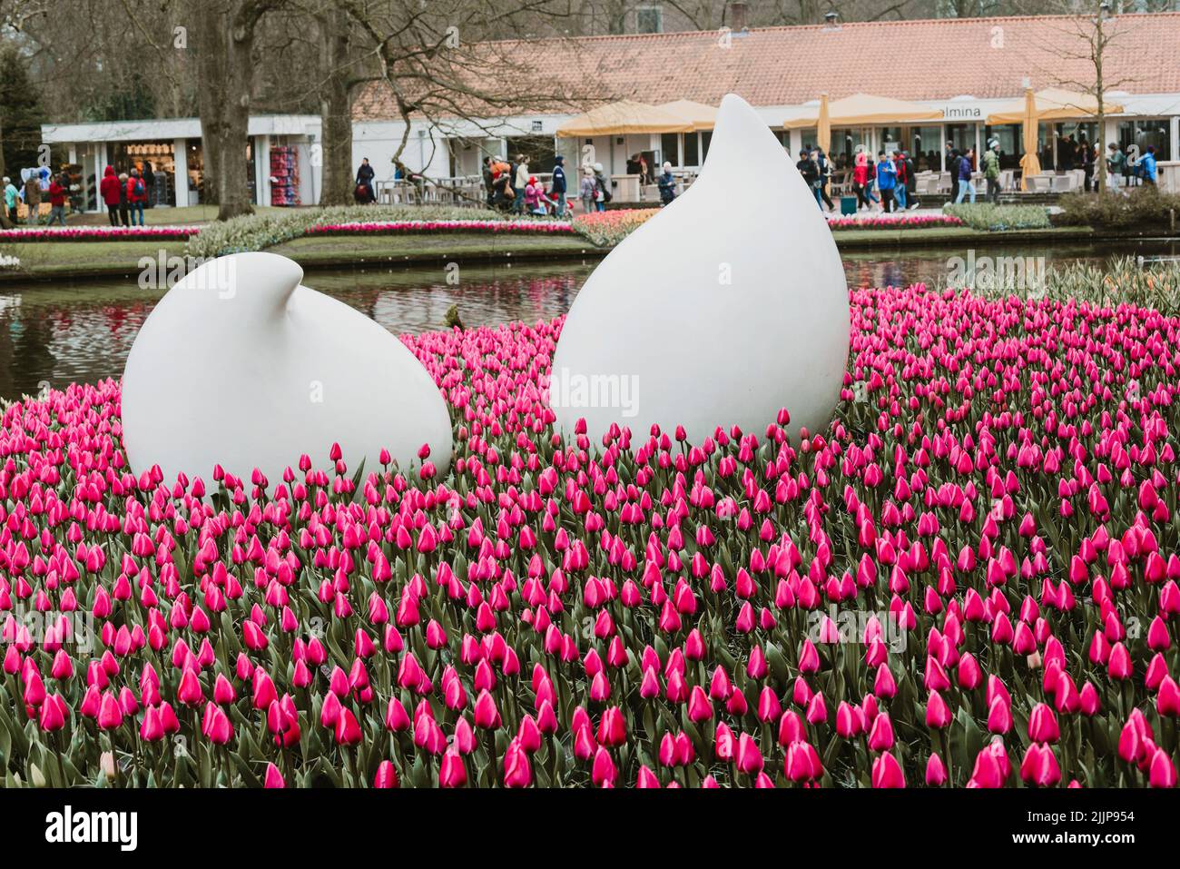 Abstract white sculptures among blooming pink tulips in Keukenhof park ...