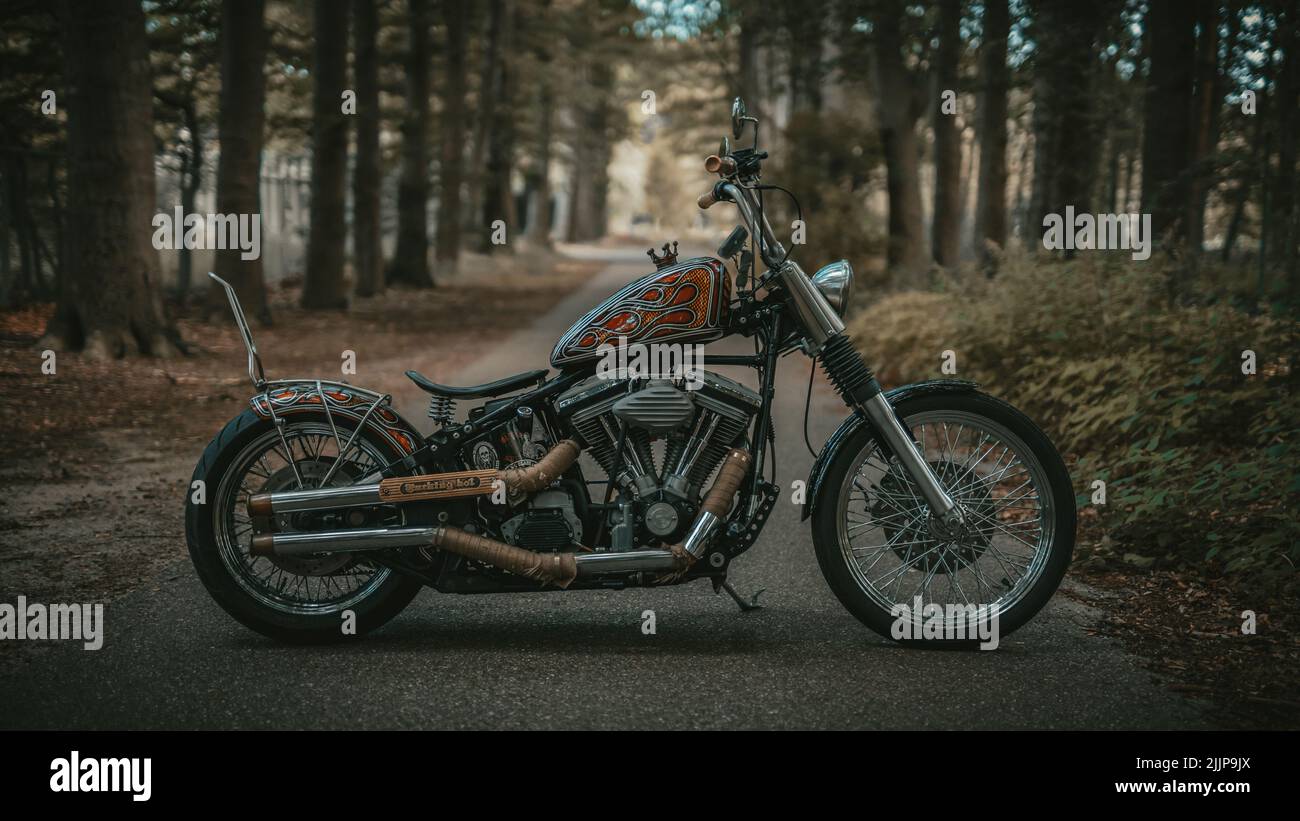 Chopper scrambler store