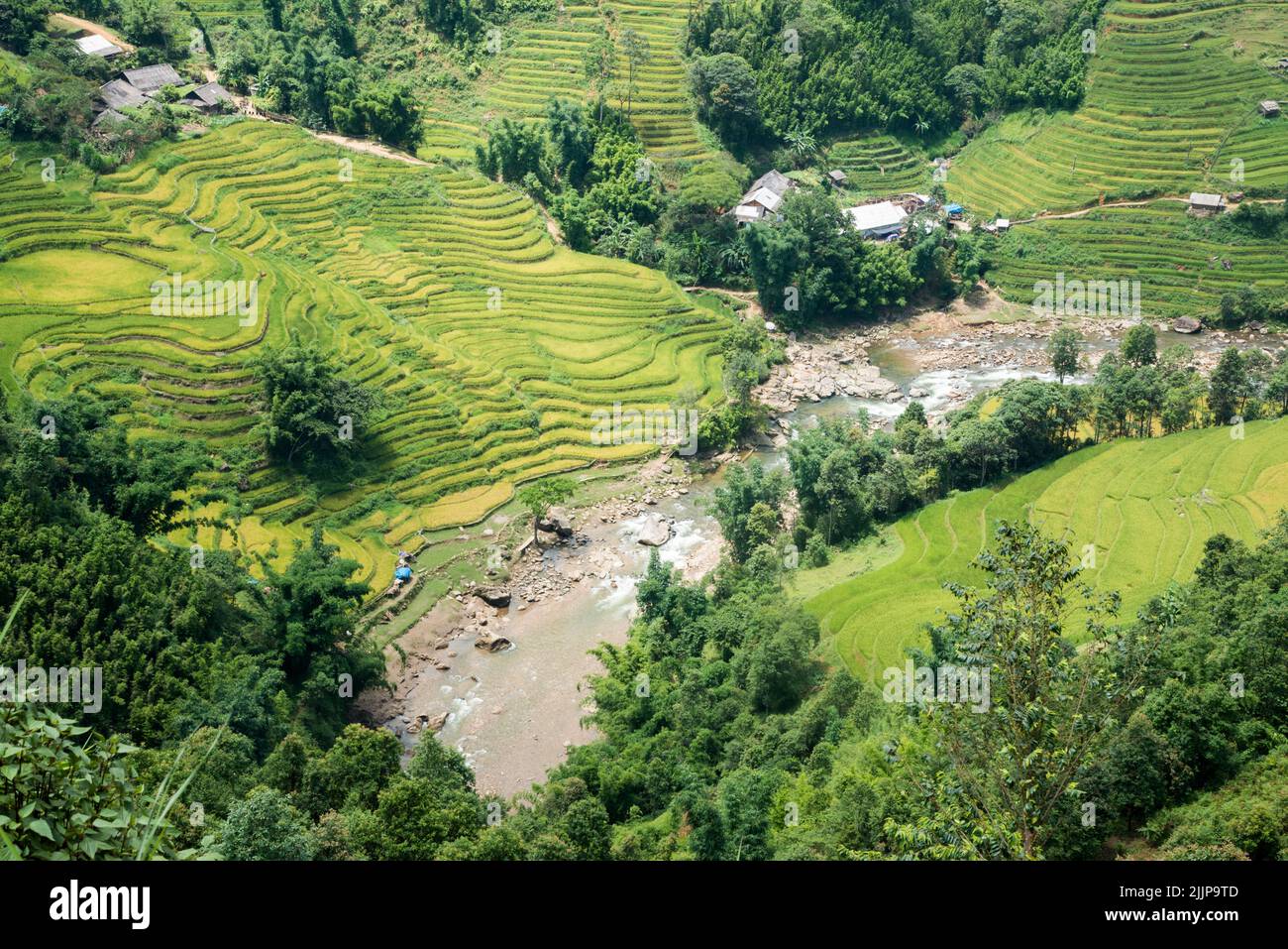 A beautiful view of rice fields in Sa pa, Vietnam Stock Photo