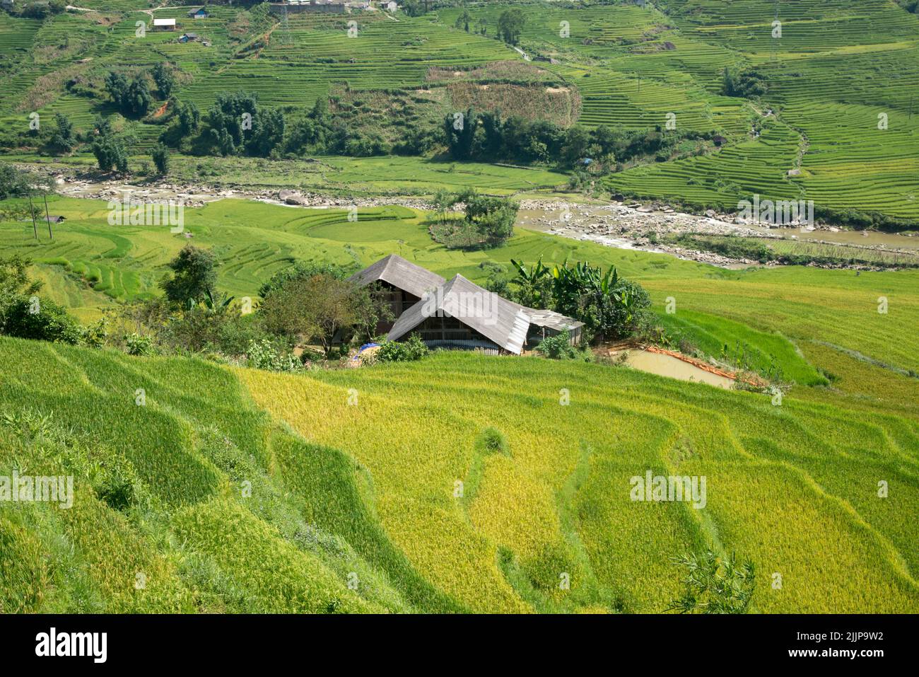 A small house in the middle of a rice field in Sa Pa, Vietnam Stock Photo