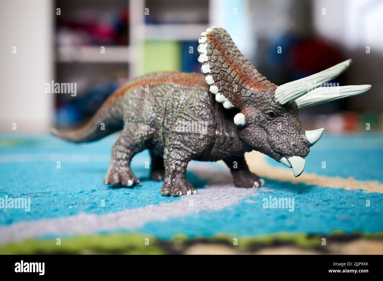 A closeup of a Triceratops Dinosaur toy on a blue rug Stock Photo