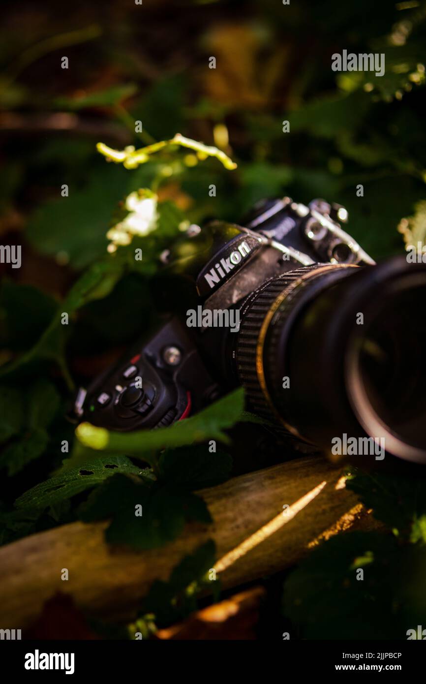 A vertical shot of Nikon d300 and leaves Stock Photo