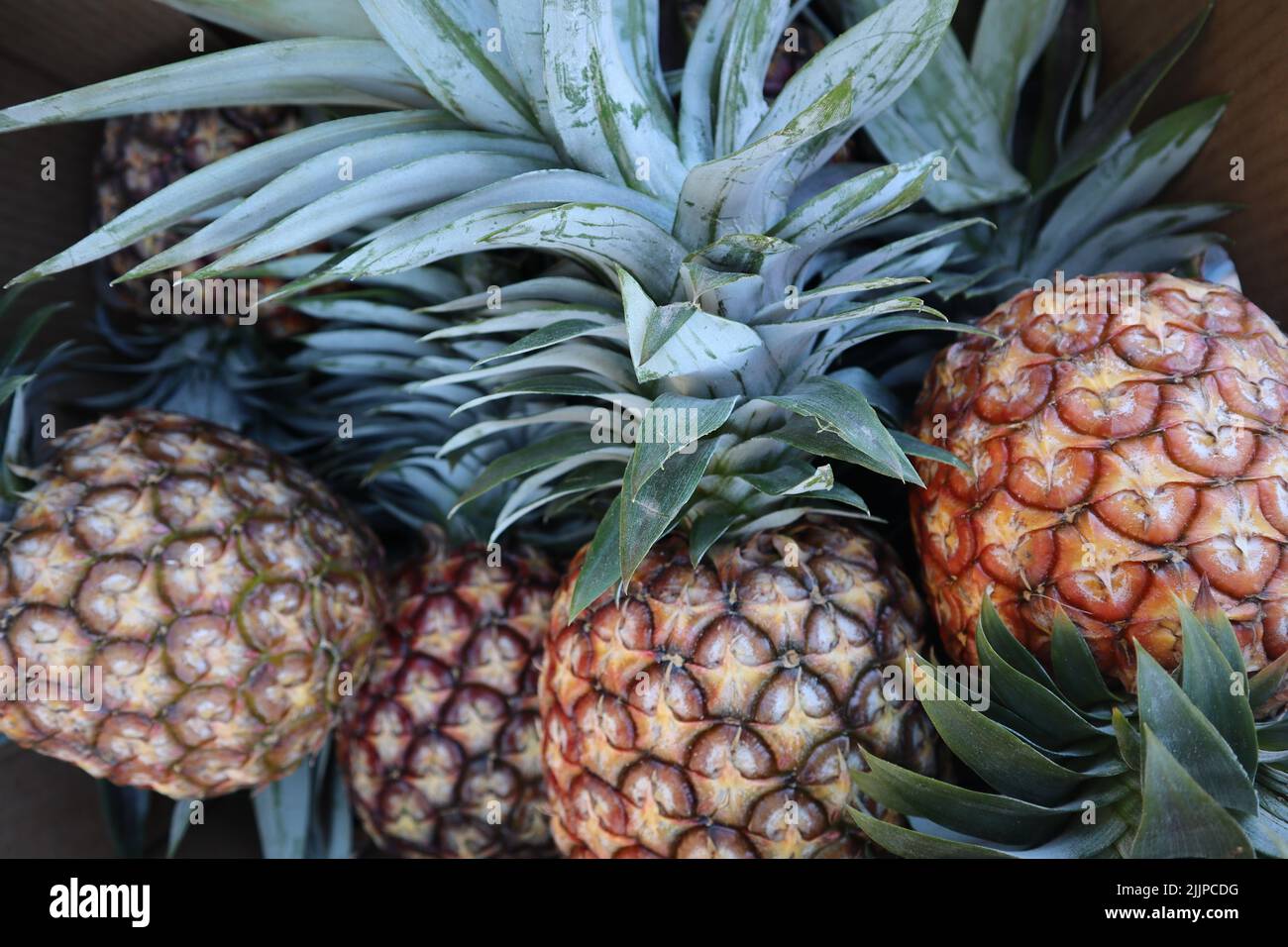 Farmers market fruit closeup hawaii hires stock photography and images