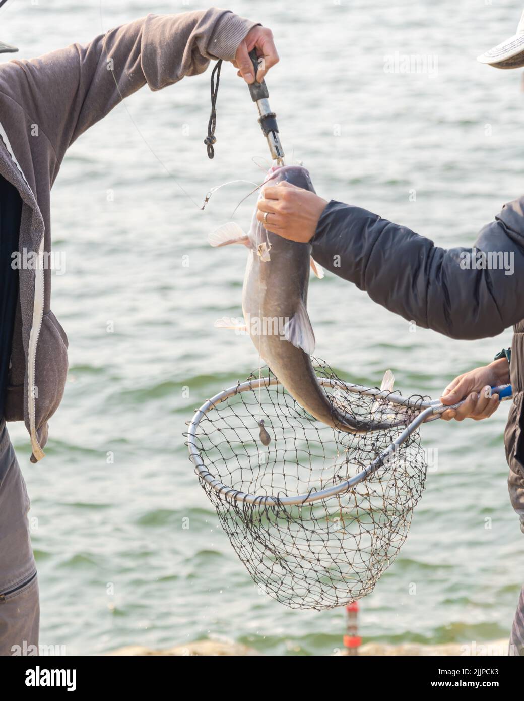 A close-up view of two male hands with a fish lip gripper and a net catching the fish near Lavon Lake in Texas Stock Photo