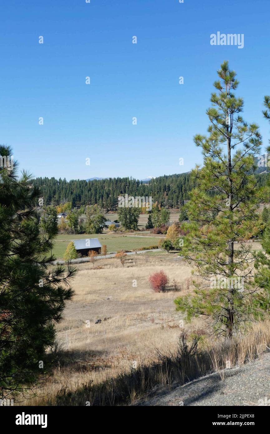 A closeup of houses in a forest in Eastern Washington Stock Photo